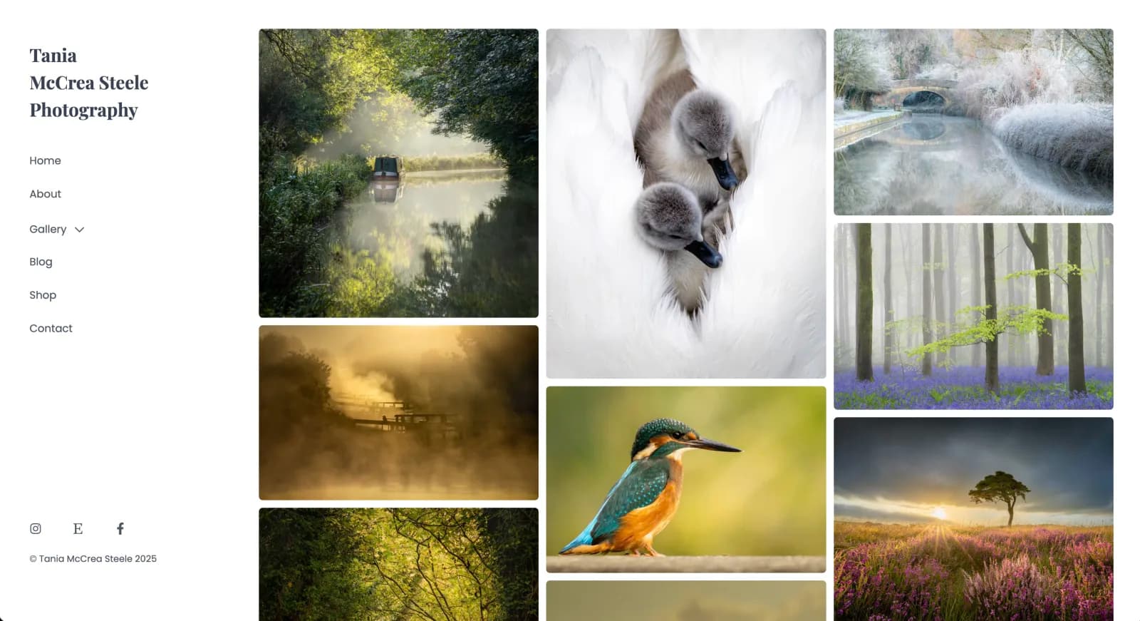 Tania McCrea Steele Photography